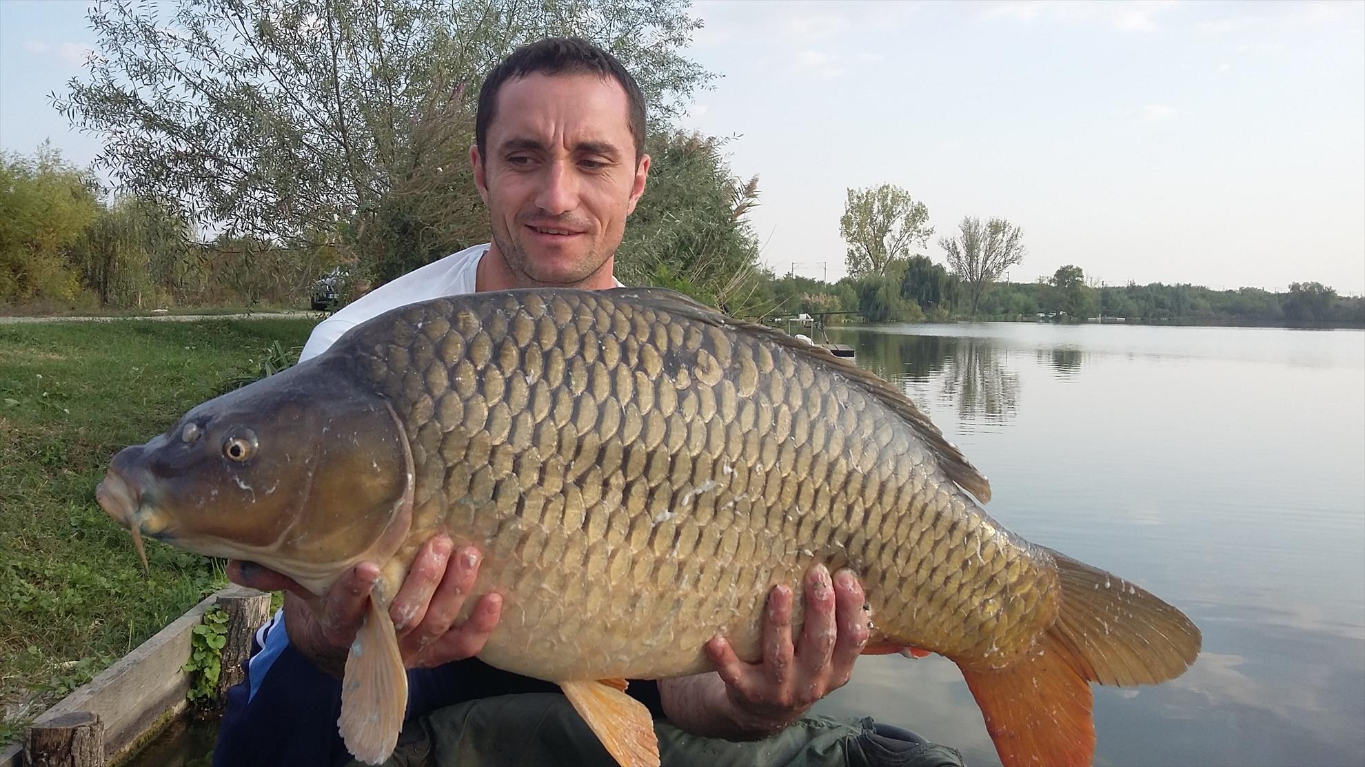 Hermes Peris 2016 - 20160913175953.jpg